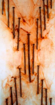Nagelbild  Brigitte Petry